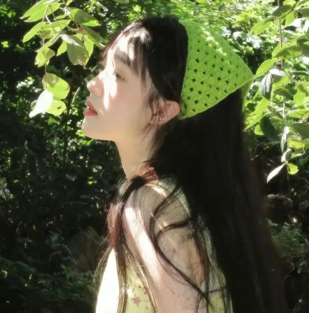 会说话的头